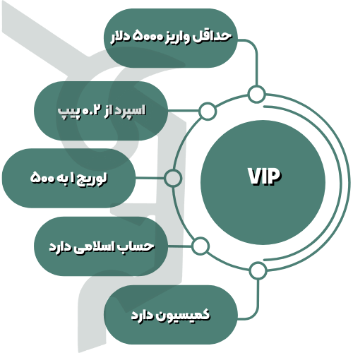 اطلاعات حساب VIP ارانته در یک نگاه