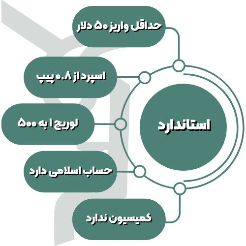 اطلاعات حساب استاندارد ارانته در یک نگاه